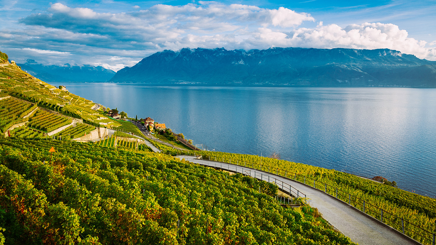 A Lavaux