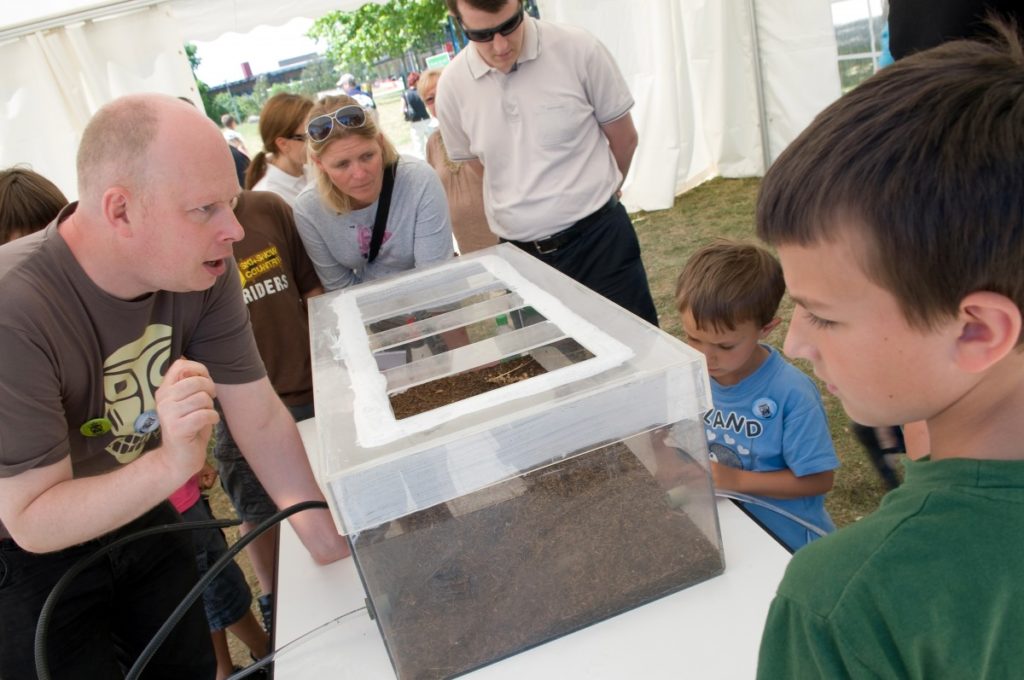 11 Fourmi Pas Prêteuse