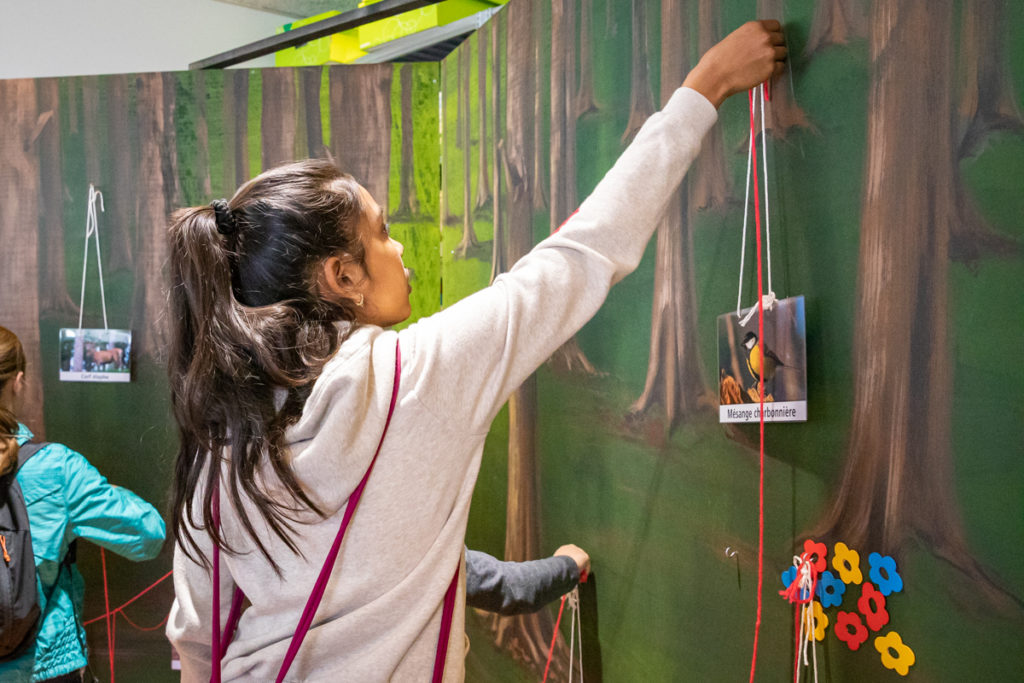 Les Mystères De L'unil 2019