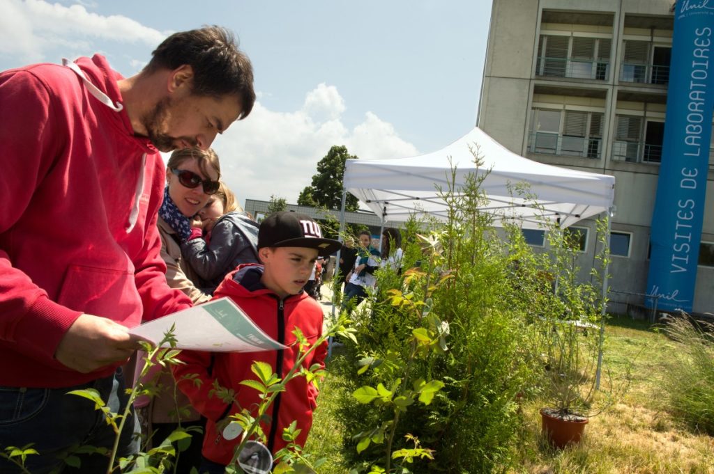 13 Maree De Mauvaises Herbes 1