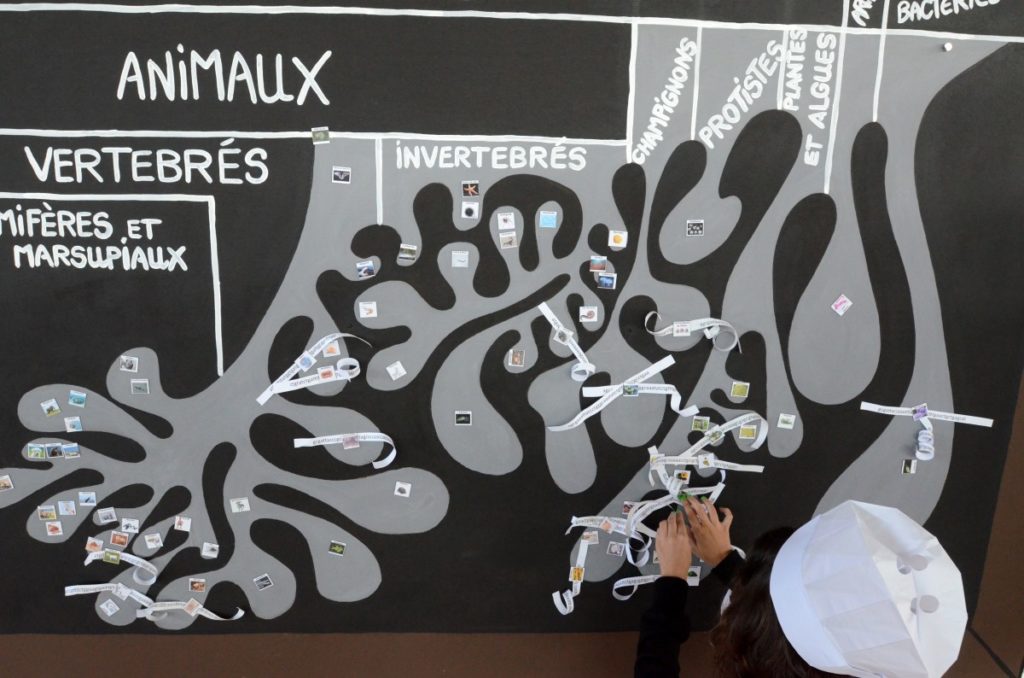 13 Tactique Du Tic Tac