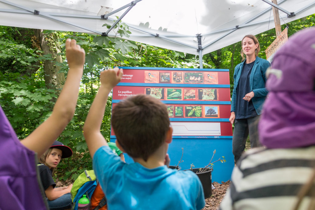 15 Atelier Les Especes Peuvent Elles Sadapter Aux Changements Climatiques