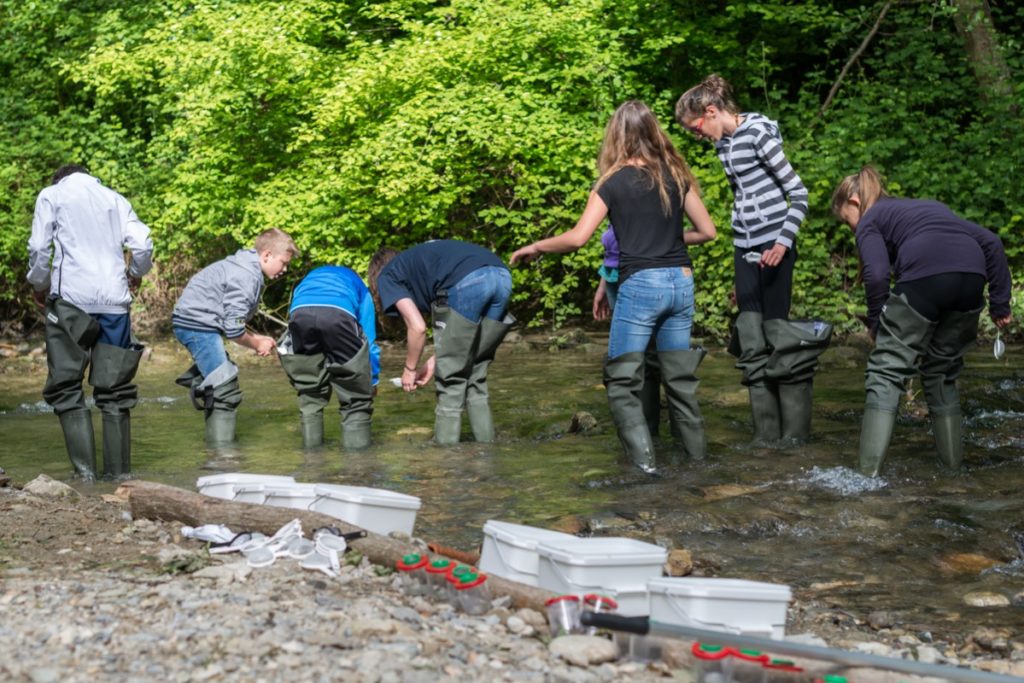 15 Atelier Les Sentinelles De Leau
