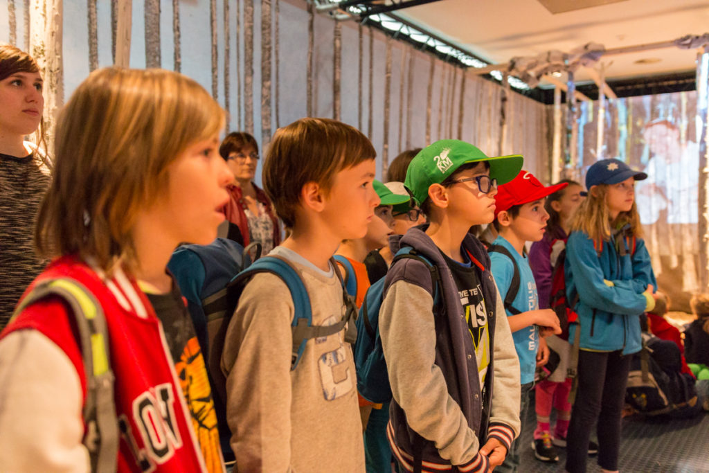 15 Classe Dans La Foret Des Eons