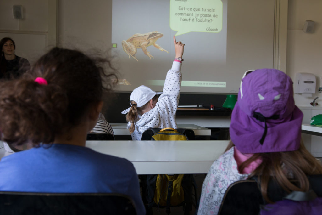 Photos Prises Le Jeudi 28 Mai Durant L’atelier B3 "crapauds Et