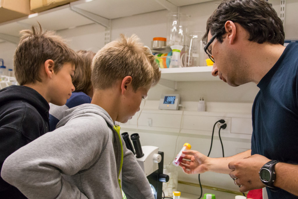 15 Drosophile Du Labo Au Champ Et Le Retour