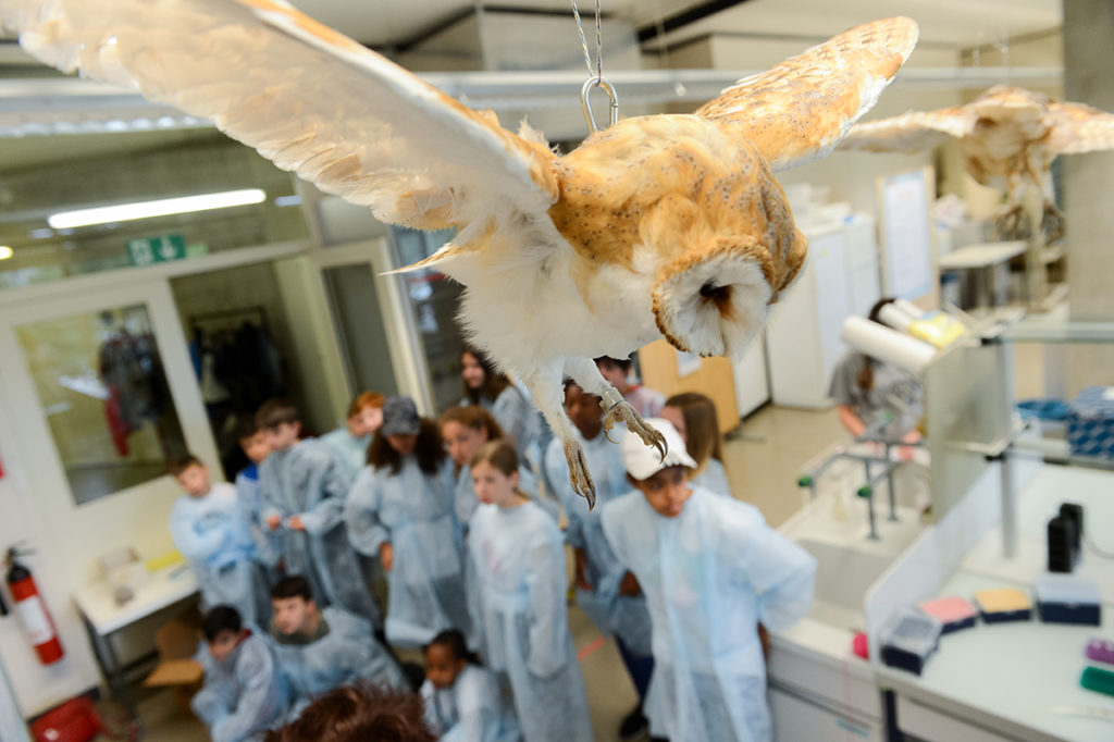 Mysteres2018 Jeudi 9157