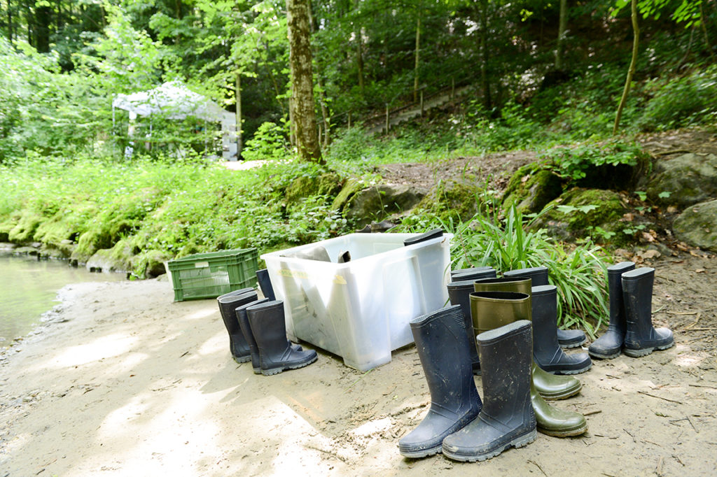 Mysteres2018 Jeudi 9316 1